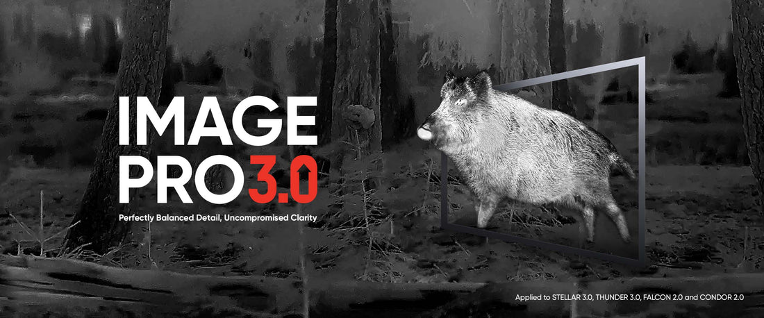 HIKMICRO Stellar SQ50 V3 - Product Review