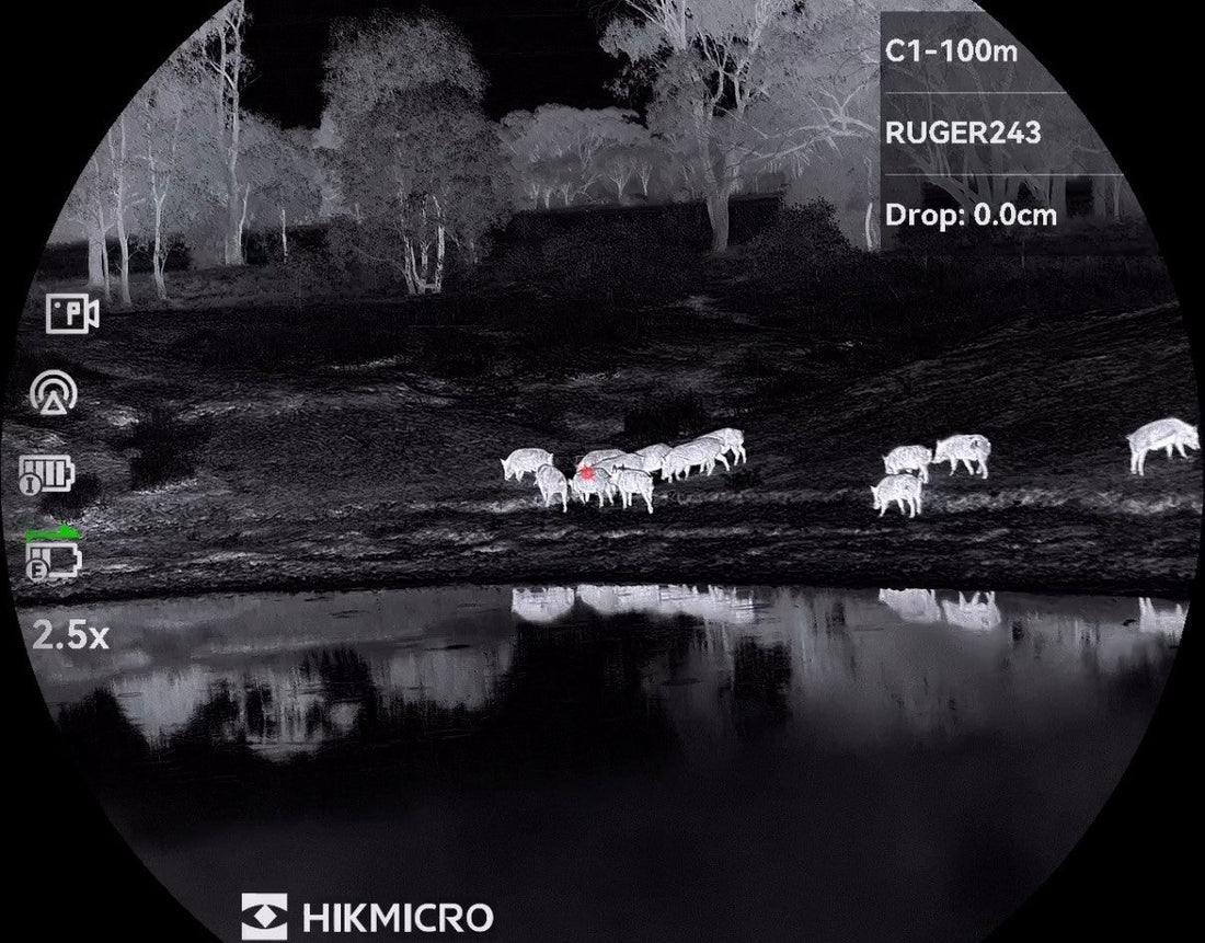 The all new Hikmicro Stellar SX60LS 3.0 (50 Hz) vs Stellar SX60L