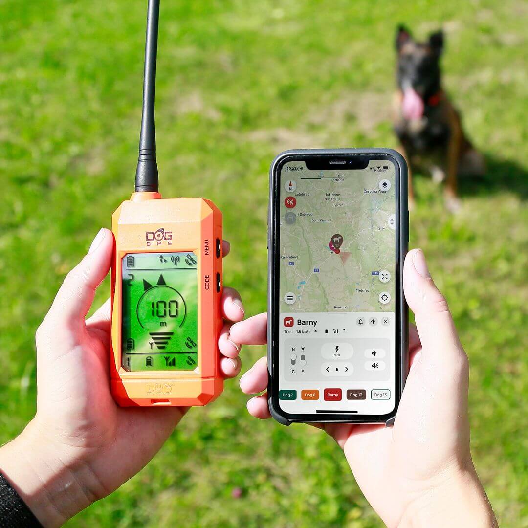 Dog Trace DOG GPS X30T Orange GPS Tracking & Training System - 1 Collar