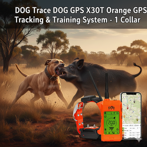 Dog Trace DOG GPS X30T Orange GPS Tracking & Training System - 1 Collar